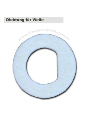 Dichtung für Welle beim A25GSP
