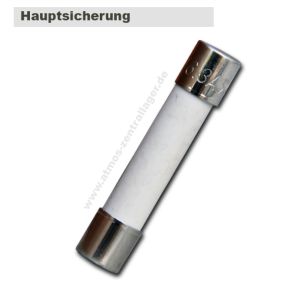 Hauptsicherung 6.3A